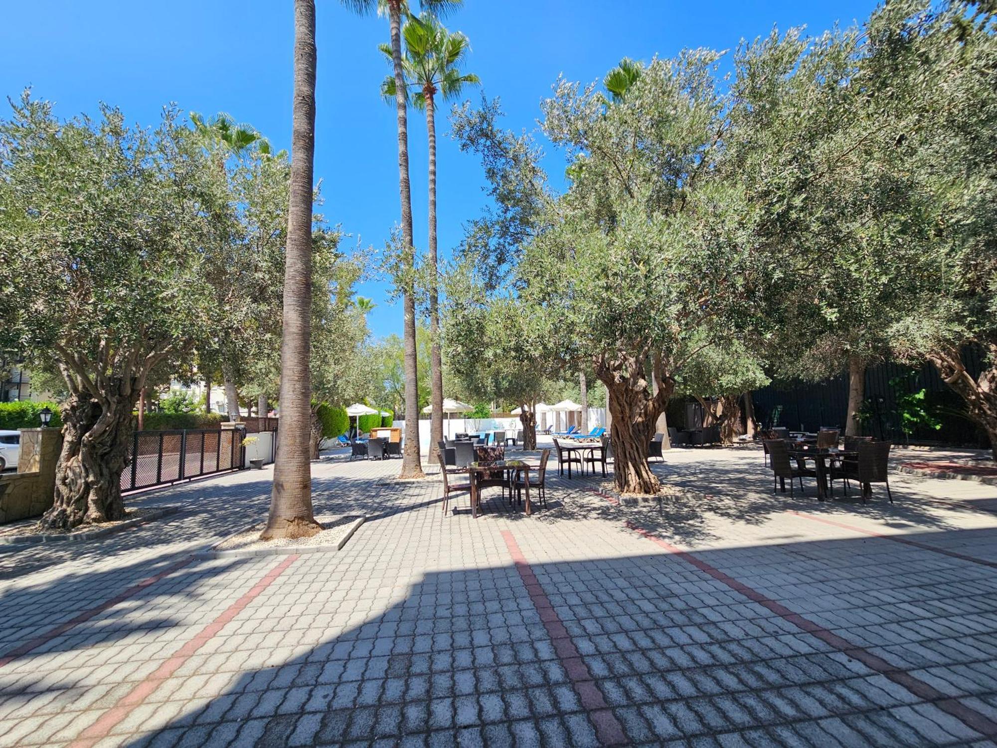 Park Palace Hotel 키레니아 외부 사진