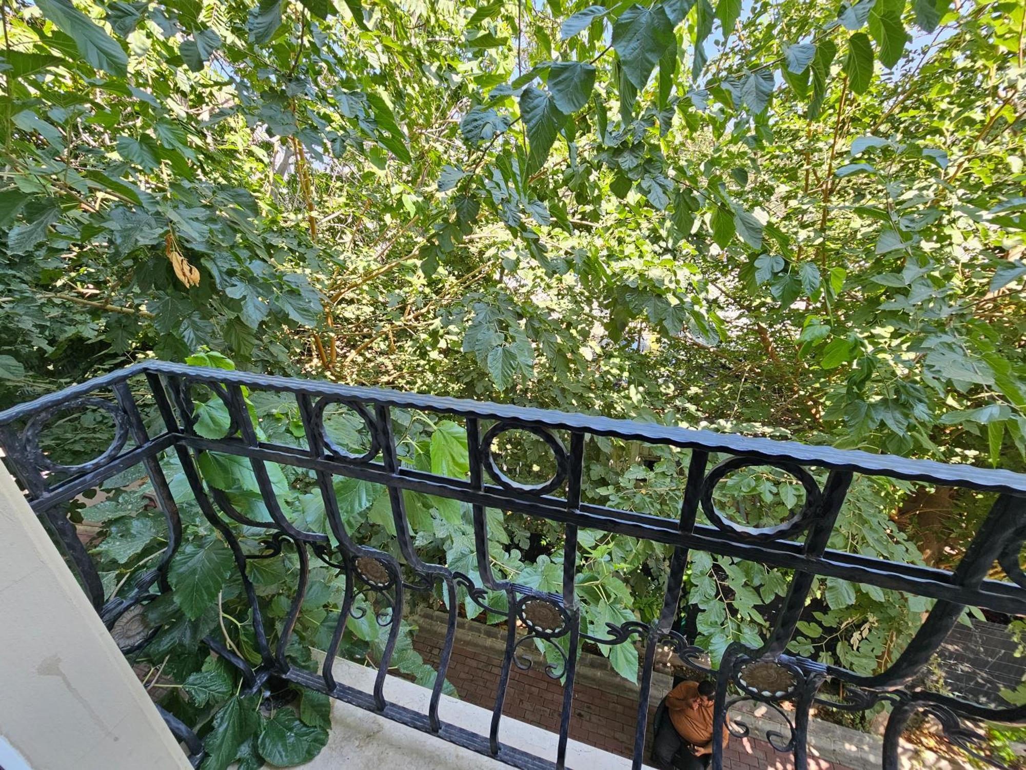 Park Palace Hotel 키레니아 외부 사진